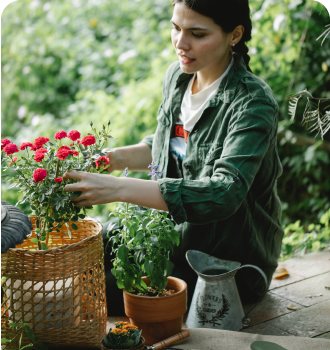 A person takes care of flowers