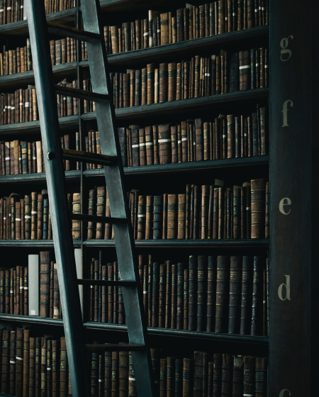 bookshelves in the library