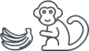 monkey