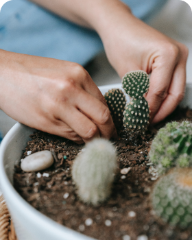 Planting