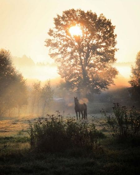 portfolio_img1