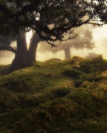 portfolio_img3