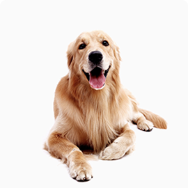 Картинка левой карточки