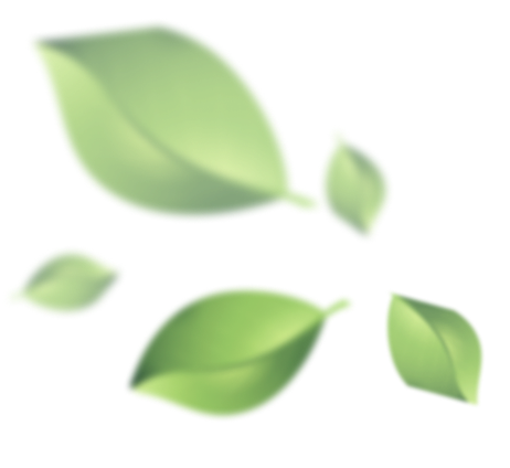 beautiful leafes