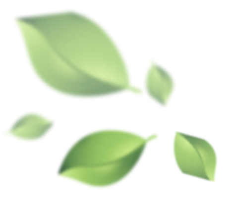 leafs