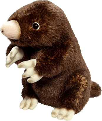 Mole image
