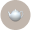 tea cup
