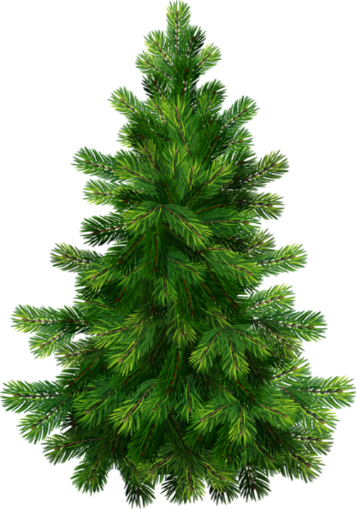елочка