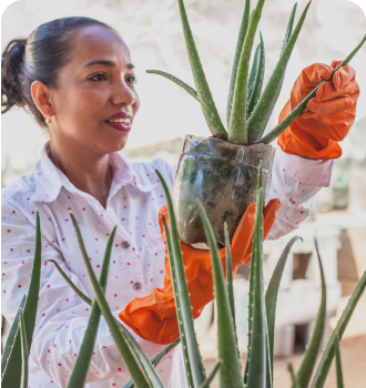garden care
