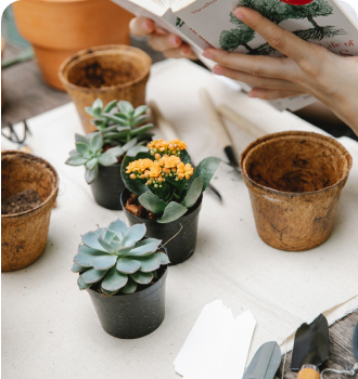 garden care