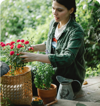 planting